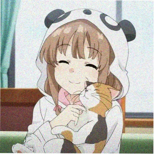 导演头像